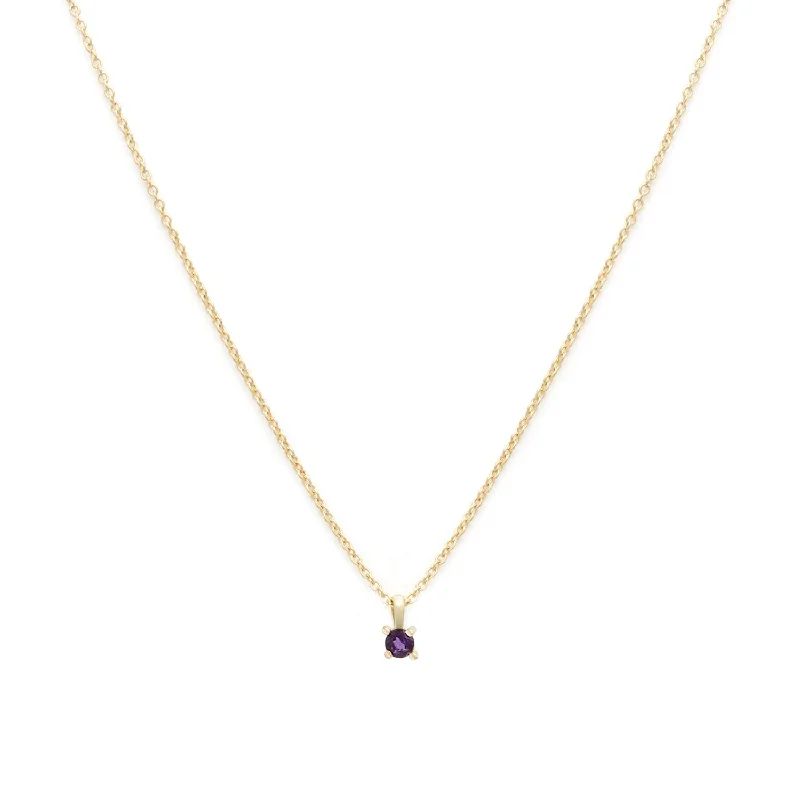 two-tone gold necklace for women-Birthstone Necklace | Gold & Amethyst