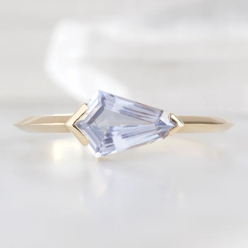 wedding rings with diamonds for men-The Sage Ring | 0.97ct Geometric Periwinkle Sapphire in 14K Yellow Gold